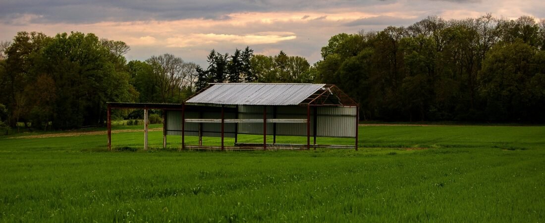 Promovendo a Vida Saudável no Campo